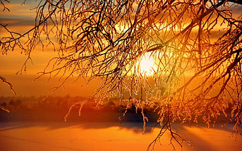 Winter Sunset, winter, snow, clouds, trees, nature, sunset HD wallpaper