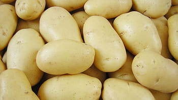Potato , High-quality , Diverse options, Perfect for any device HD wallpaper