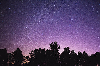 Trees, Night, Dark, Silhouettes, Starry Sky HD wallpaper