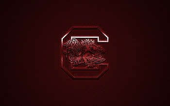 South Carolina Gamecocks, Logo , American football club, Carbon fiber background HD wallpaper