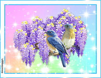 WISTERIA AND BIRDS, ART, CREATION, ABSTRACT HD wallpaper