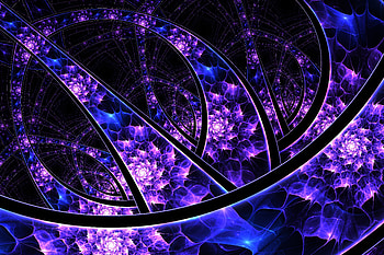 Fractal, tangled dark lines, abstract HD wallpaper
