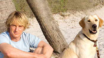 Marley and Me, Heartwarming tale, Mischievous dog, Unbreakable bond HD wallpaper