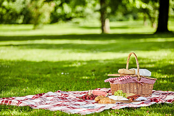 Berlin picnic tips, Berlin tagesspiegel HD wallpaper