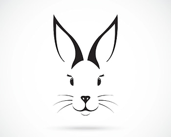 Bunny, art, rabbit, black, white, easter HD wallpaper