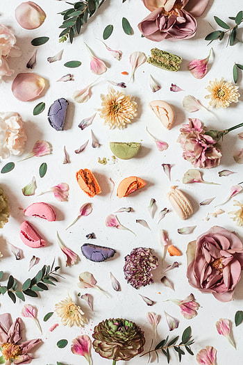 Petals of flower, food HD phone wallpaper