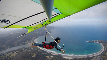 Tasmania, Gliding HD wallpaper