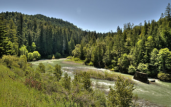 Nature, Rivers, Trees, Sky, Flow HD wallpaper