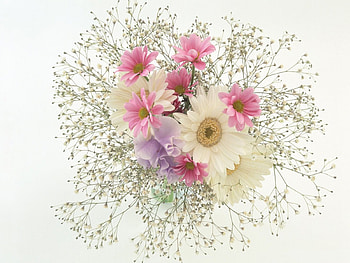 Flowers, bouquet HD wallpaper