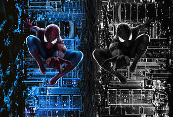 The Amazing Spider Man Vs Black Spiderman, spiderman, superheroes, artist, artwork, digital-art, deviantart HD wallpaper