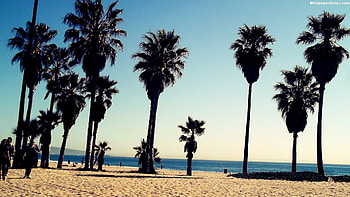 Venice Beach Venice Beach Venice Beach ... HD wallpaper