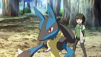 Sorrel, Lucario HD wallpaper