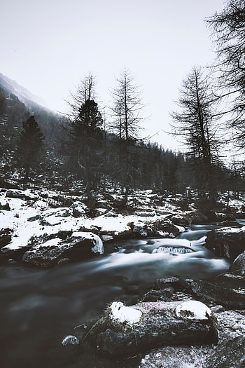 Nature, Rivers, Trees, Stones, Snow HD phone wallpaper