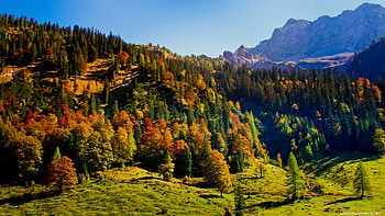Autumn , Vibrant colors, Falling leaves, Seasonal beauty HD wallpaper