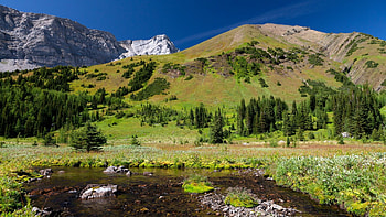 Pocaterra Cirque, outdoors, mountain bowl, nature, mountains, forest, pond HD wallpaper