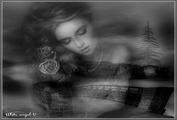 Dreaming, lady, roses, fantasy, black and white HD wallpaper