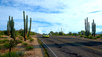 Cars, Forza Horizon 5 HD wallpaper