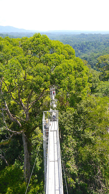 Brunei travels, Travel to Brunei, Tips and interesting, Facts HD phone wallpaper