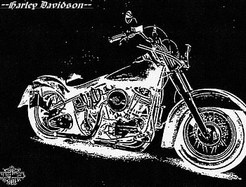 HarleyDavidson, Jesse James, Bjornar ringstad, lolita elpalmo HD wallpaper