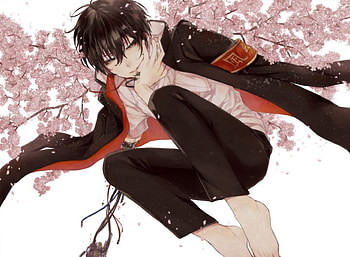 Hibari Kyoya, katekyo hitman reborn, anime, school, manga, Disciplinary Committee Leader HD wallpaper