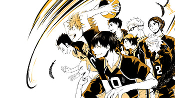 Haikyuu!!, Anime , Cheap Sale, 51% off HD wallpaper