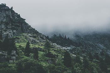 Scenic view of a fog-covered mountain with lush pine trees and rocky terrain. HD wallpaper