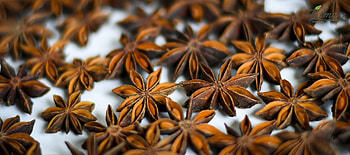 Natural star anise, Premium quality, Vietnamese spice, Fragrant flavor HD wallpaper
