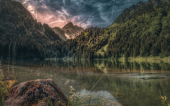 mountain lake, evening, forest, mountains, mountain landscape, green trees, Alps HD wallpaper