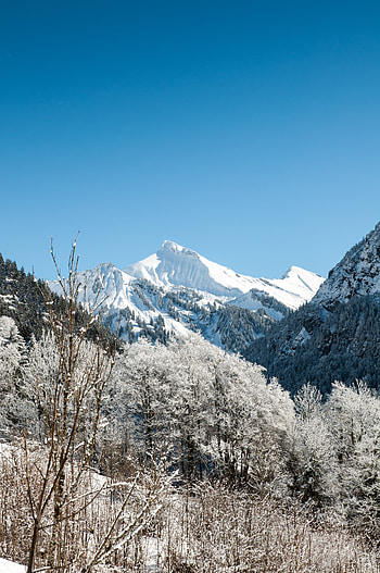 Landscape, Nature, Trees, Mountains, Vertex, Top, Snow Covered, Snowbound HD phone wallpaper