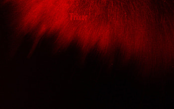 Black Red Background 840041 ... HD wallpaper