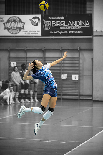 Sports, volleyball HD phone wallpaper