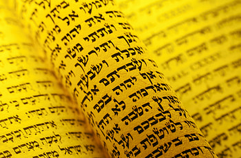 Jewish Hebrew Torah Scroll Under Light, Jewish, Hebrew, torah, bible, religious HD wallpaper