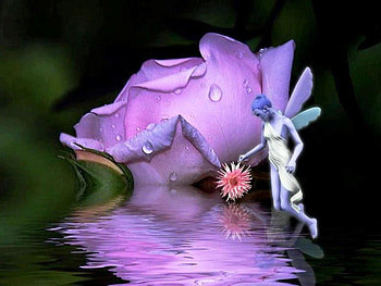 Fairy and Purple rose, fairy, rose, purple rose, colorful flower, lake, petal HD wallpaper