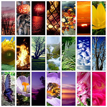 rainbow collage, colorful, nature, rainbow, collage HD wallpaper