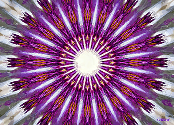 Abstract flower, white, by cehenot, art, orange, purple, pink, painting, abstract, pictura, flower, texture HD wallpaper