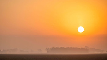 Fog Covered Trees Forest Moon Sunrise Background Nature HD wallpaper