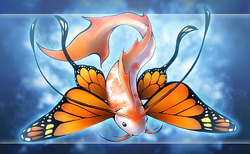 Artistic animal, fish, oriental, butterfly, artistic HD wallpaper
