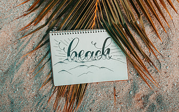 beach, summer, notepad, palm leaves, summer concepts, evening, sunset HD wallpaper