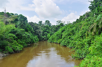 Congo river , , Congo river backgrounds, River HD wallpaper