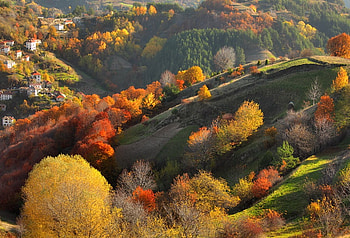 Rhodopy mountain, coloors, graphy, fall, colors, tree, mountain, bulgaria, trees, autumn, nature, , hill HD wallpaper