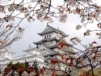 oriental pogoda, pogoda, oriental, blossom, tree HD wallpaper