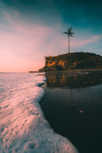 Sea Shore, Nature, Shores HD phone wallpaper