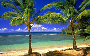 Beachfront , Coastal living, Beach vacation, Sea views HD wallpaper