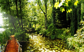 Landscape, Nature HD wallpaper