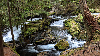 Panther Creek, Washington, water, rocks, usa, stones HD wallpaper