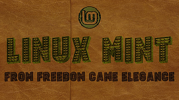 Linux Mint, Technology, Linux HD wallpaper