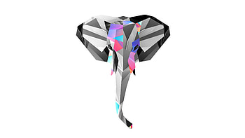 Geometric Animal, Geometric animal , Unique animal art, Creative designs HD wallpaper