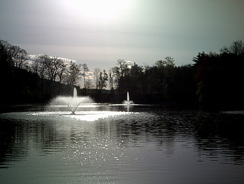 lords grace, hope, forestpark, light HD wallpaper
