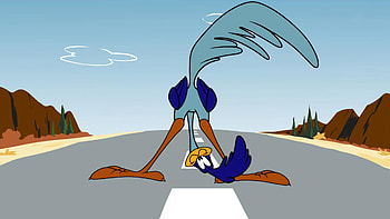 Looney Tunes, Cartoon characters, Animated series HD wallpaper