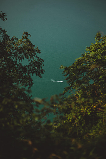 Nature, Water, Trees, Branches, Boat, Track, Trace HD phone wallpaper